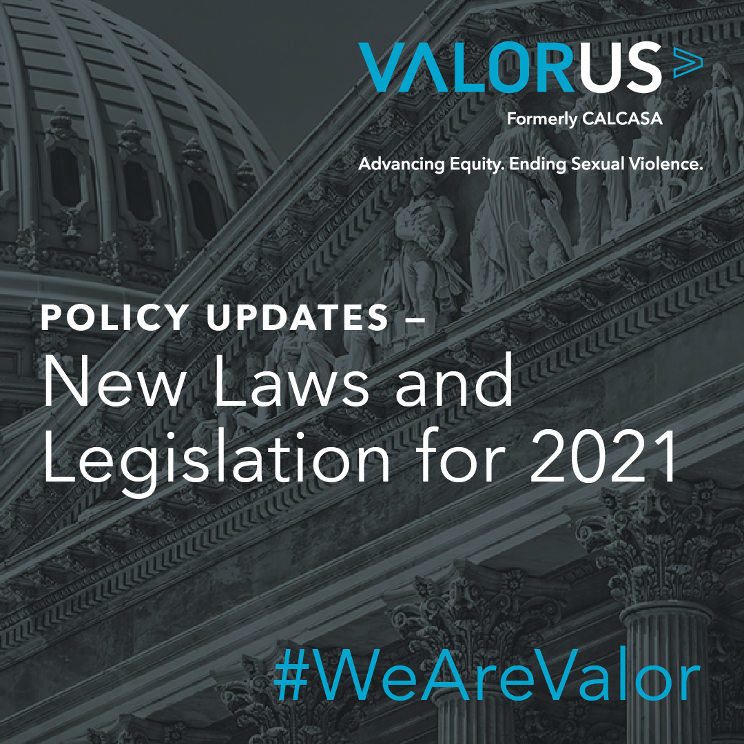 Policy Update: New Laws and Legislation for 2021 #WeAreValor VALORUS logo