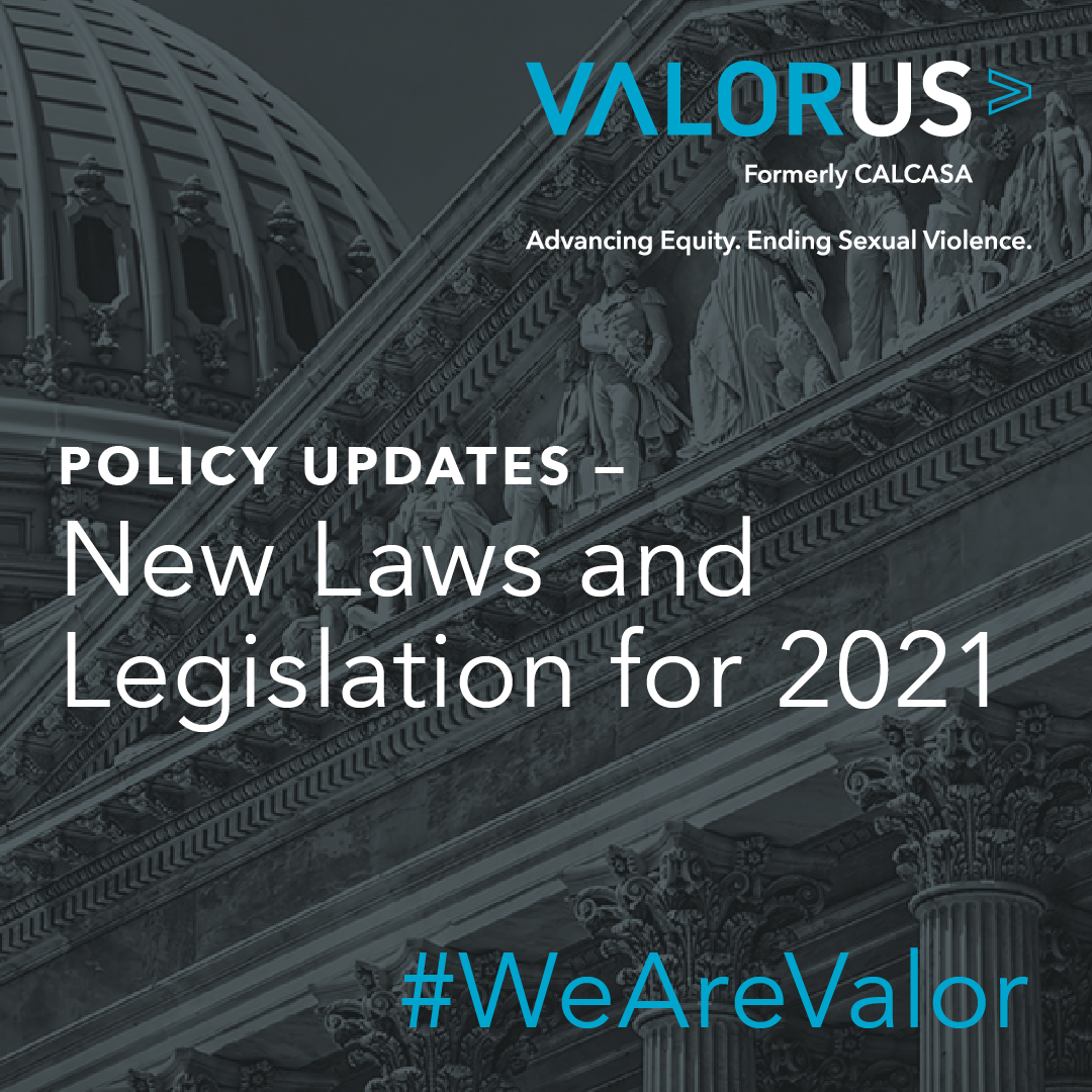 Actualización de la política: nuevas leyes y legislación para 2021 #WeAreValor VALORUS logo