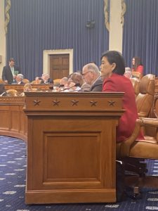 Representative Judy Chu in Means & Ways Committee.