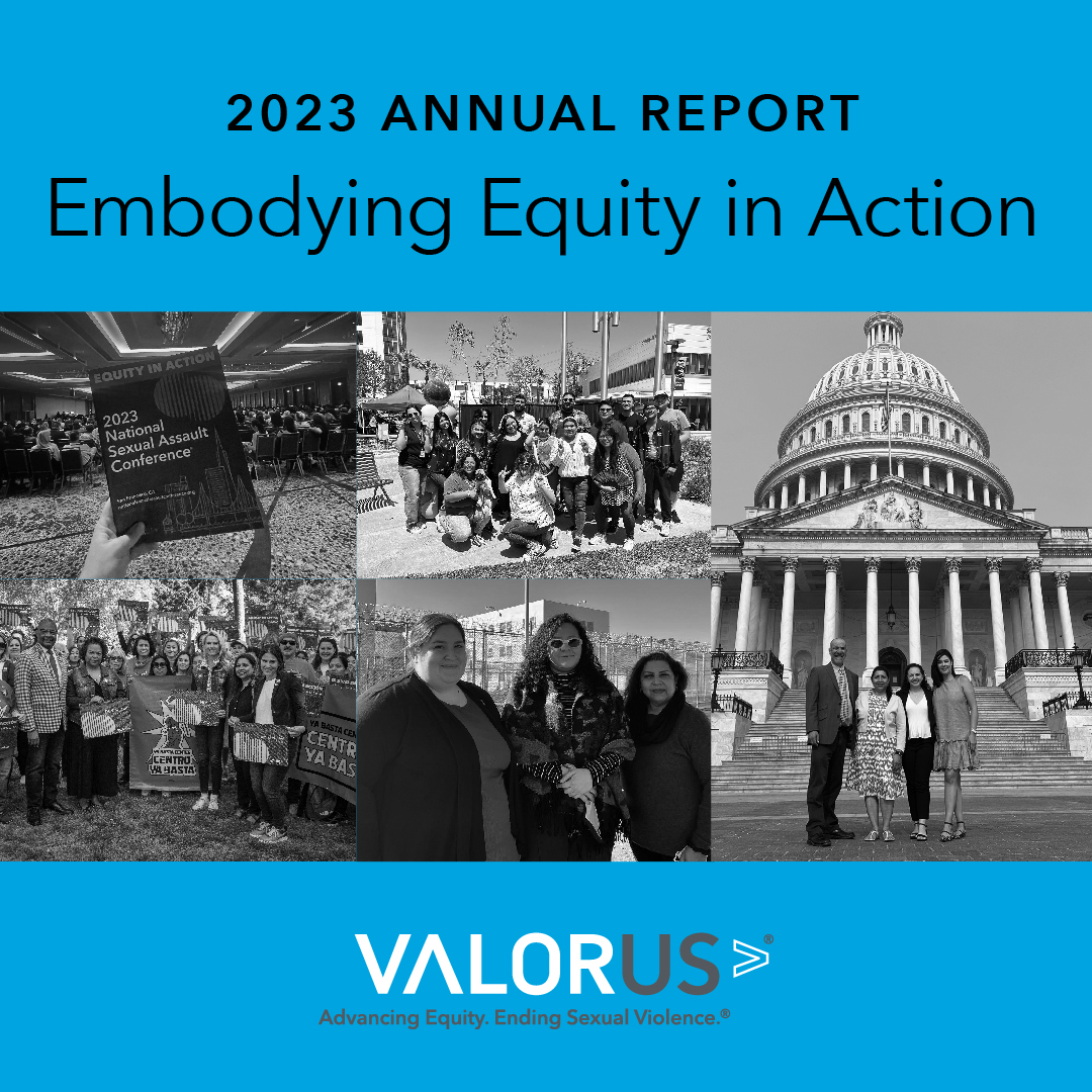 Informe Anual 2023. Incorporando la equidad en acción. Collage de imágenes. Logotipo de VALOR.