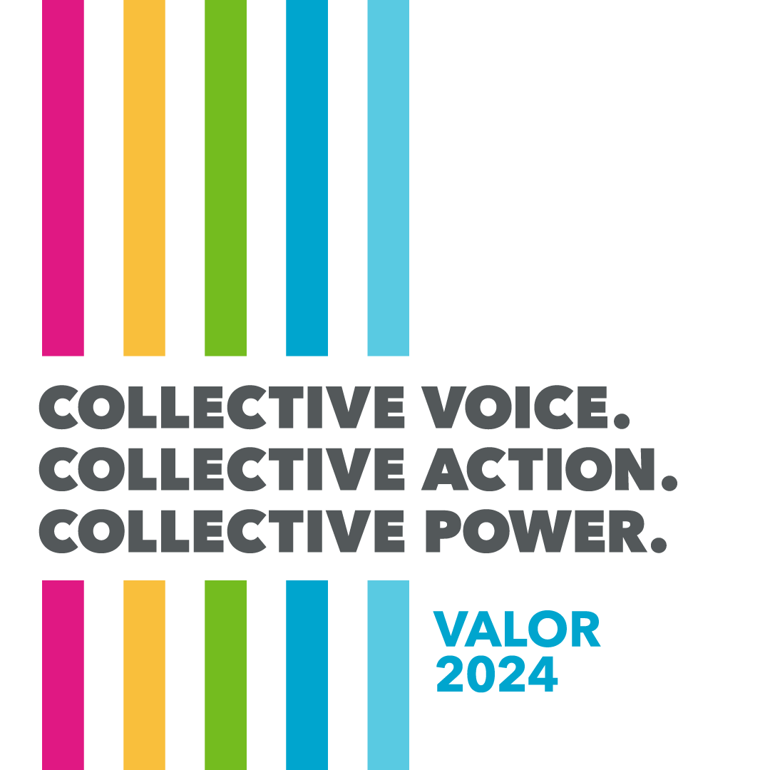 Vertical pink, yellow, green, dark blue, and light blue stripes. Text that says, "Collective Voice. Collective Action. Collective Power. VALOR 2024."
