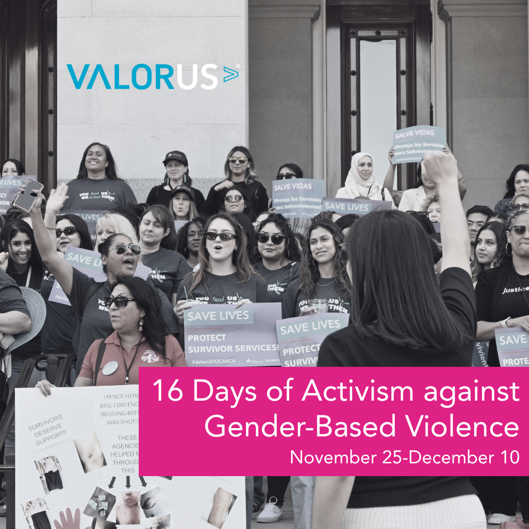 Photo of people at a rally for survivor services funding. There is a pink rectangle on the bottom right with white text that reads, "16 Days of Activism against Gender-Based Violence. Nov 25-Dec 10." VALOR logo.
